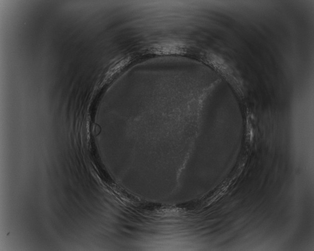 X0000052630202200507160139