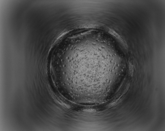 X0000052630203200507160139