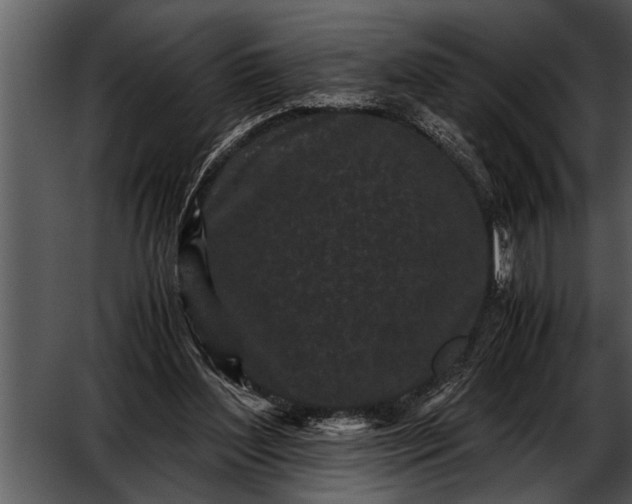 X0000052630204200507160139