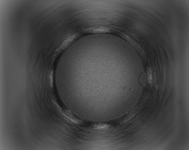 X0000052630206200507160139