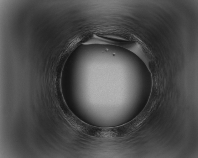 X0000052630209200507160139