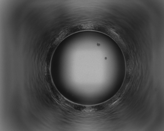 X0000052630213200507160139