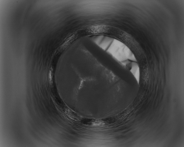 X0000052630214200507160139