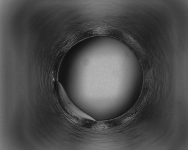 X0000052630217200507160139