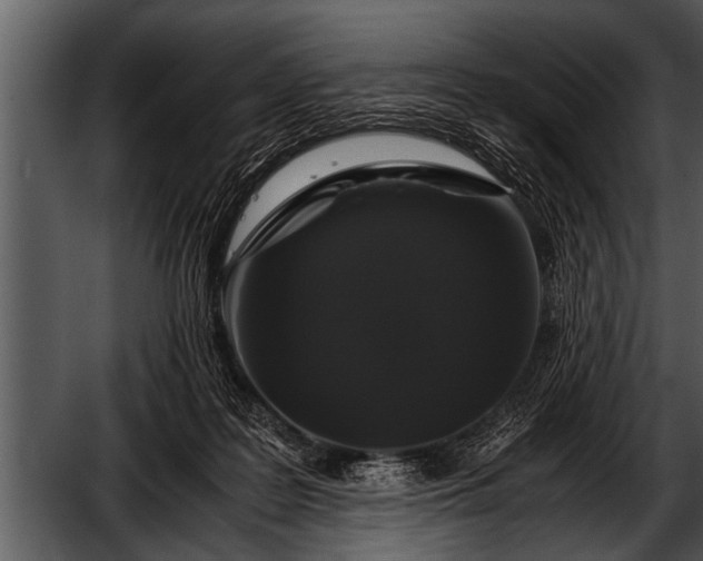 X0000052630219200507160139