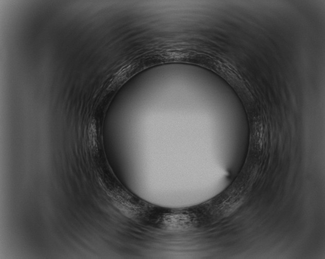 X0000052630220200507160139