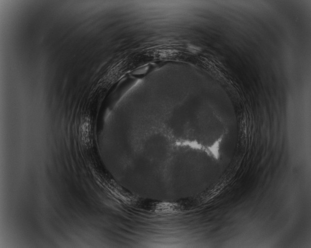 X0000052630222200507160139