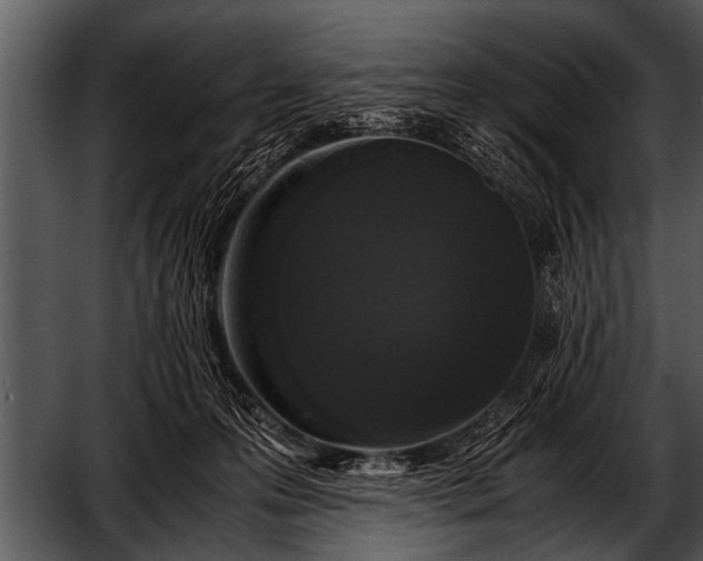 X0000052630223200507160139