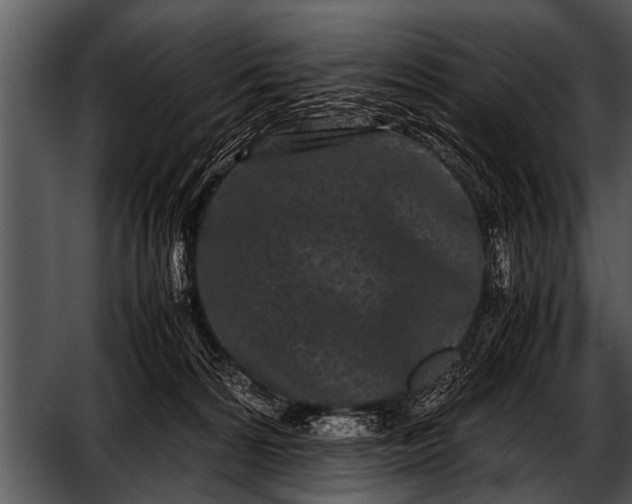 X0000052630224200507160139