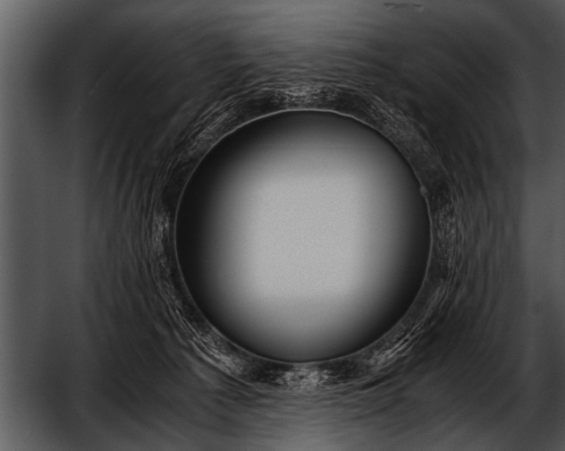 X0000052630225200507160139