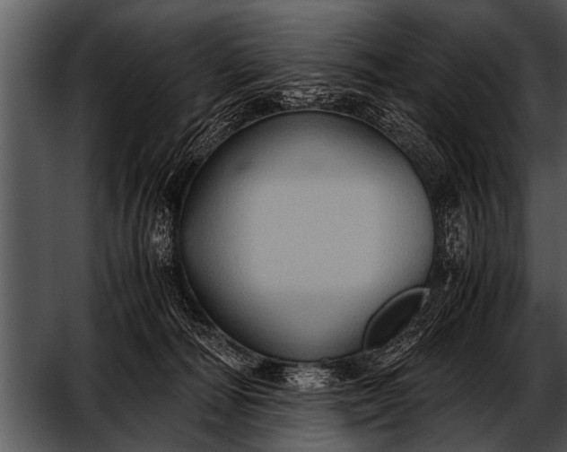 X0000052630226200507160139