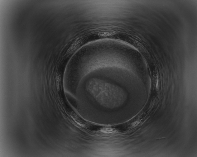 X0000052630227200507160139