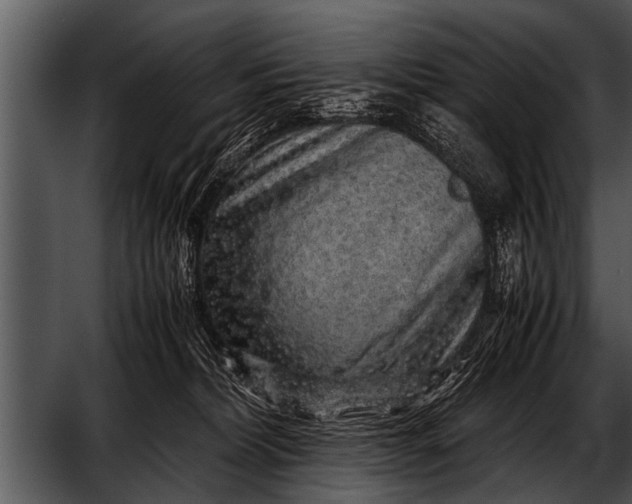 X0000052630228200507160139