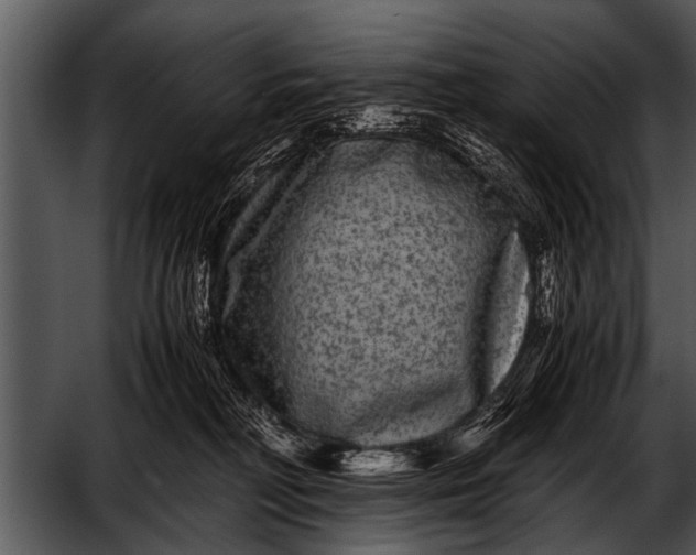 X0000052630230200507160139