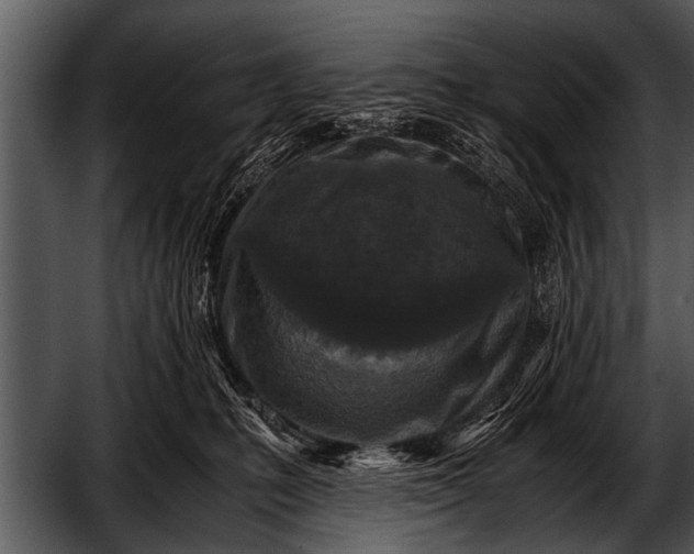 X0000052630231200507160139