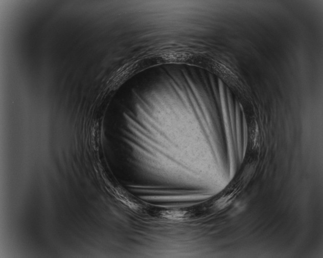 X0000052630233200507160139