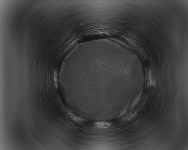 X0000052630234200507160139