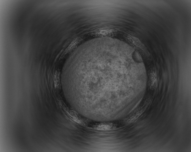 X0000052630236200507160139