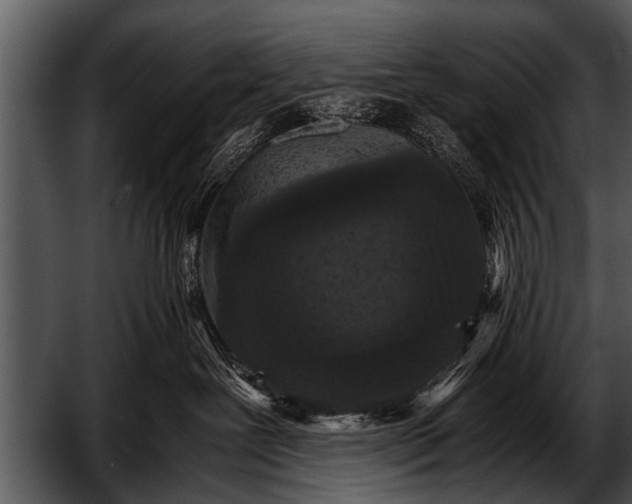 X0000052630239200507160139