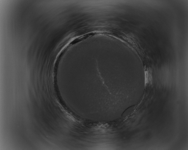 X0000052630243200507160138