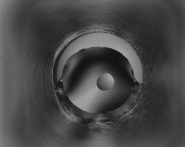 X0000052630244200507160138