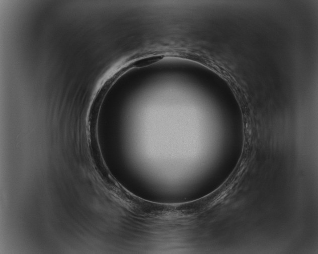 X0000052630246200507160138