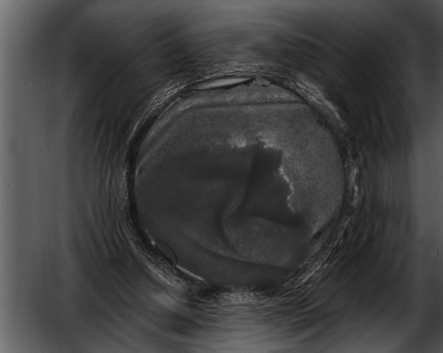 X0000052630250200507160138
