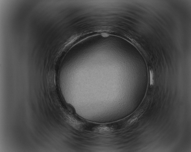 X0000052630253200507160138