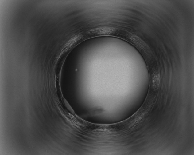 X0000052630254200507160138
