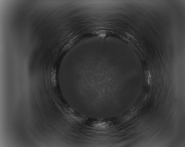 X0000052630267200507160138