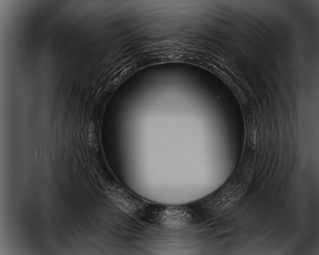 X0000052630270200507160138