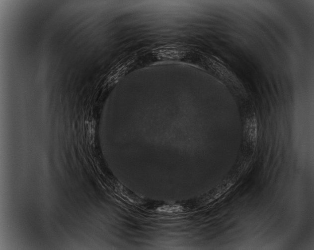 X0000052630271200507160138