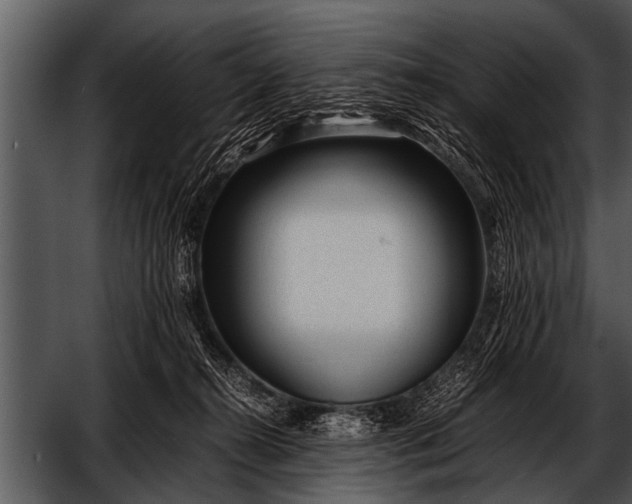 X0000052630272200507160138