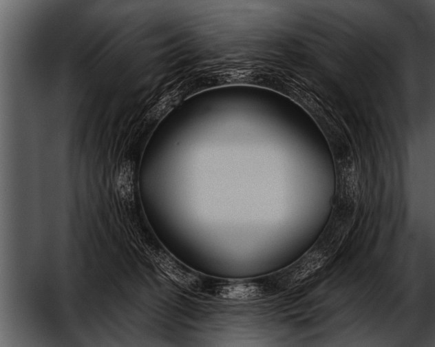 X0000052630274200507160138