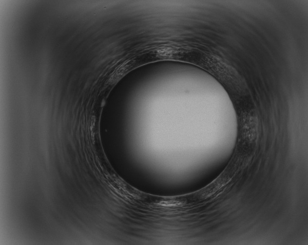 X0000052630275200507160138