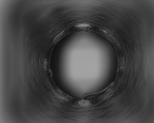 X0000052630279200507160138