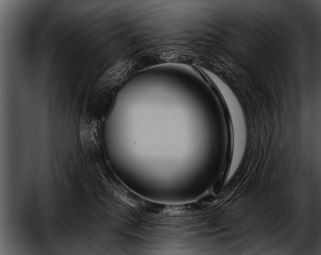 X0000052630280200507160138