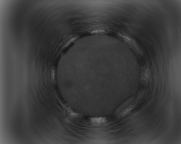 X0000052630281200507160138