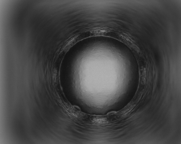 X0000052630283200507160138