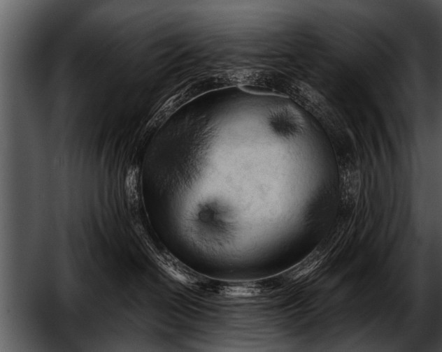 X0000052630286200507160139