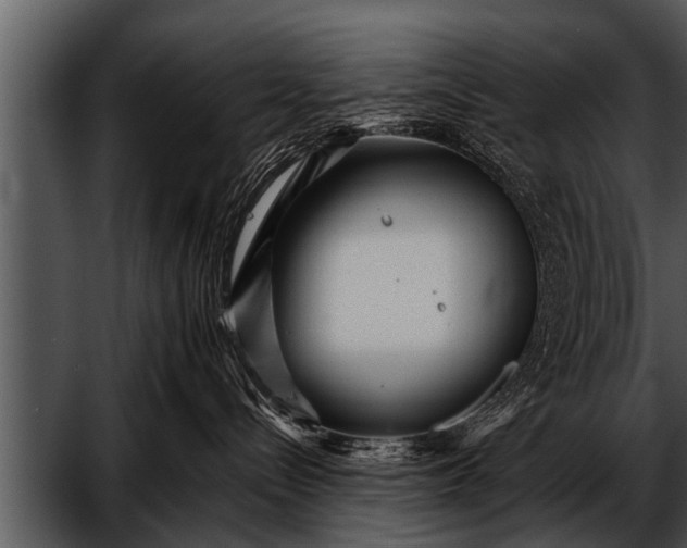 X0000052630288200507160139