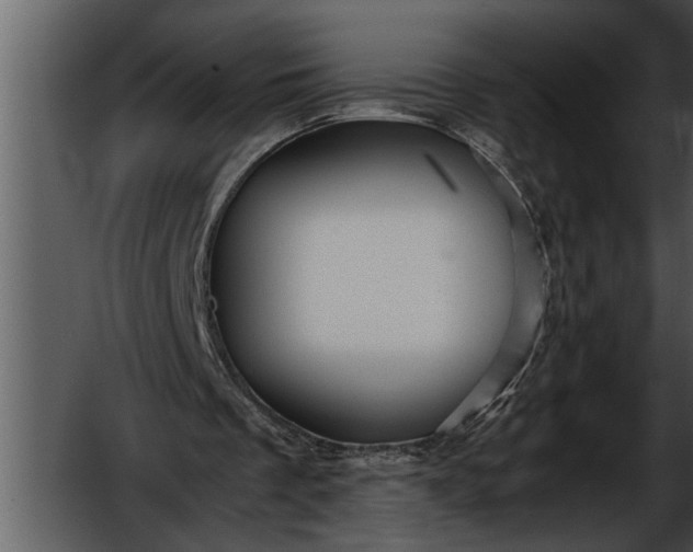 X0000052630289200507160138