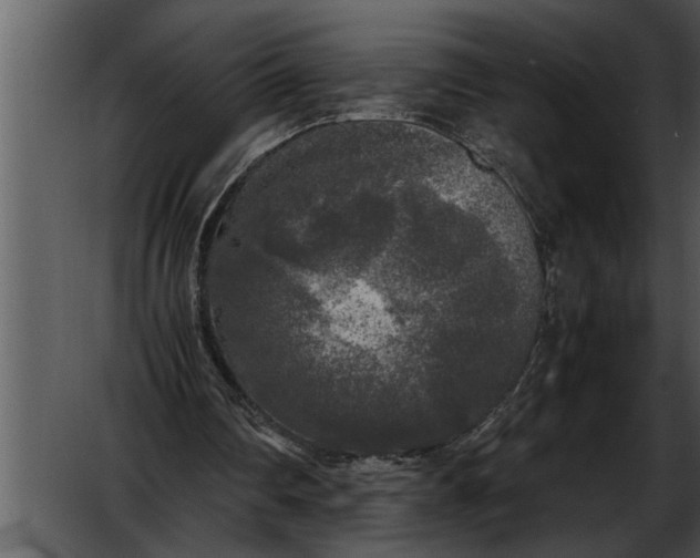 X0000052630290200507160138