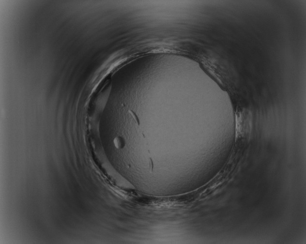 X0000052630291200507160138