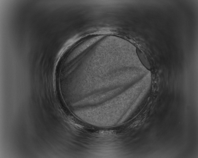 X0000052630296200507160138