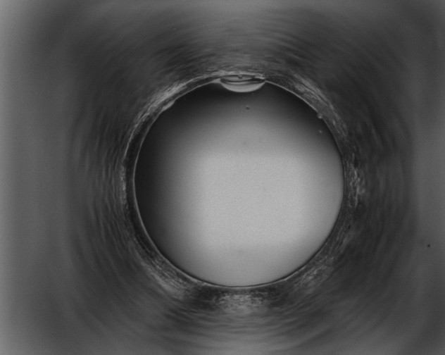X0000052630298200507160138