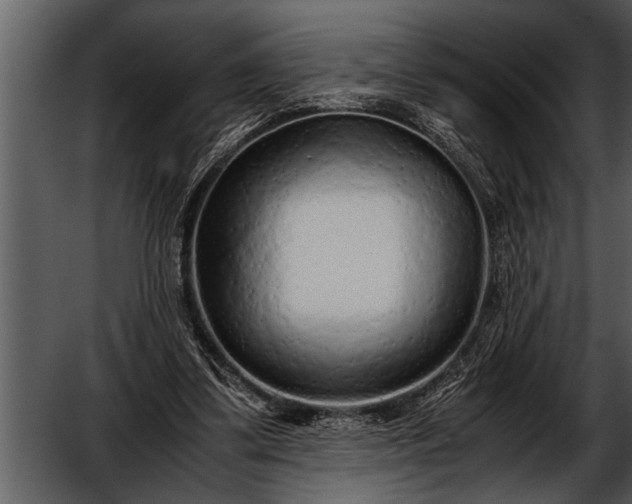 X0000052630299200507160138
