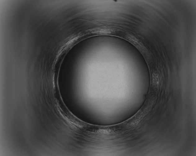 X0000052630302200507160138