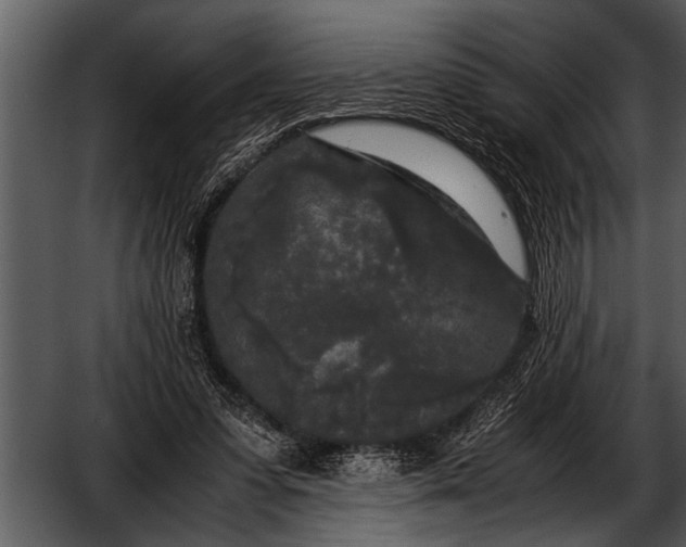 X0000052630303200507160137