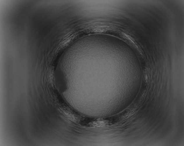 X0000052630307200507160137